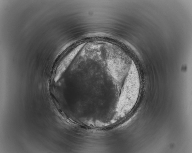 X0000100370921200807031859