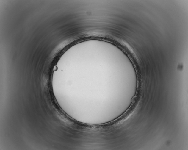 X0000100370922200807031859