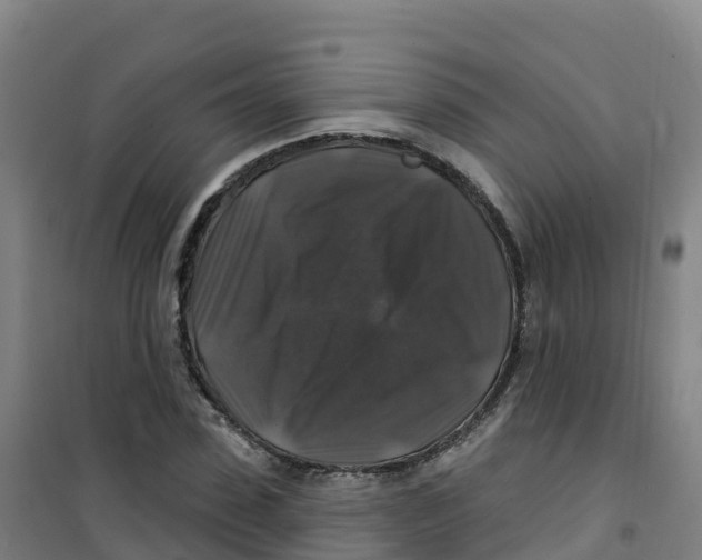 X0000100370923200807031859