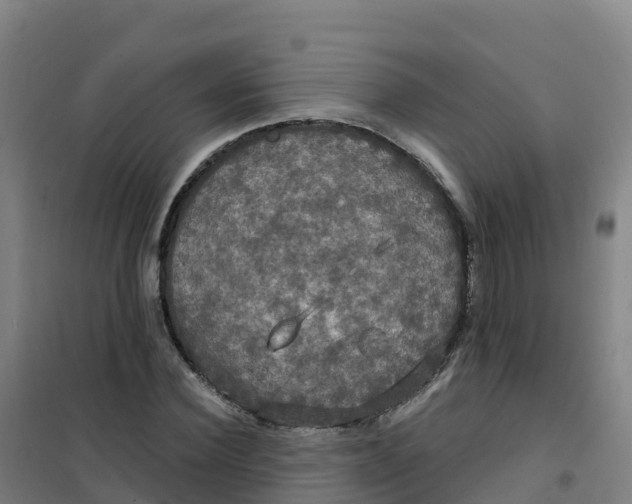 X0000100370924200807031859