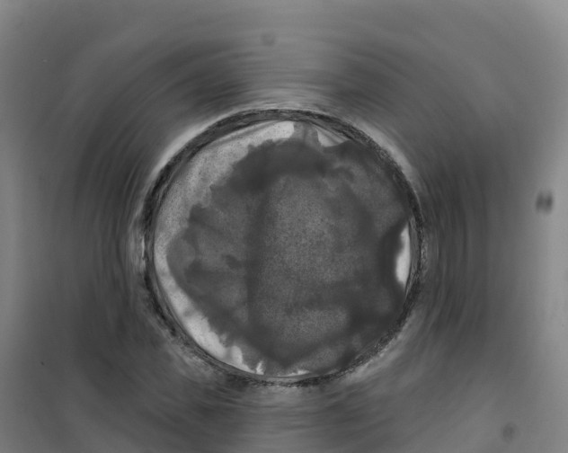 X0000100370925200807031859