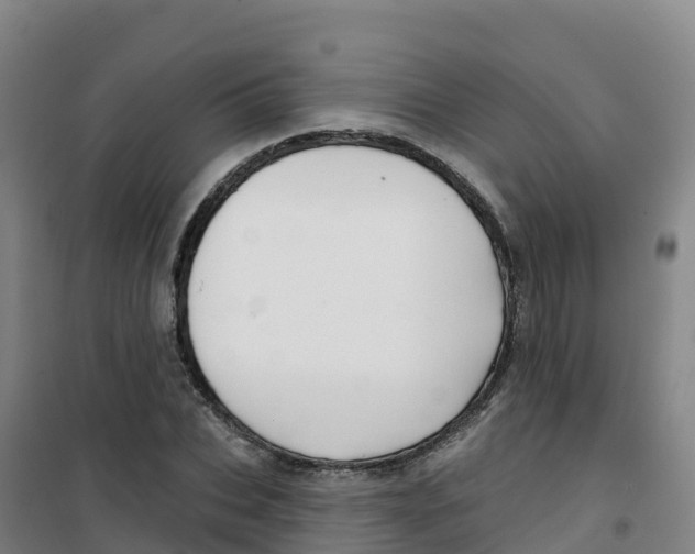 X0000100370927200807031859