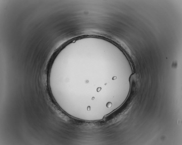 X0000100370931200807031859