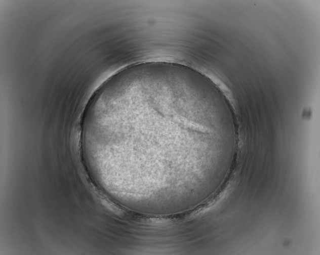 X0000100370933200807031859