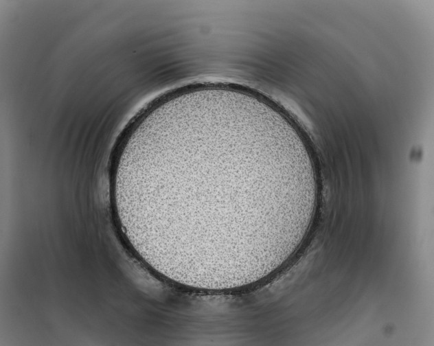 X0000100370934200807031859