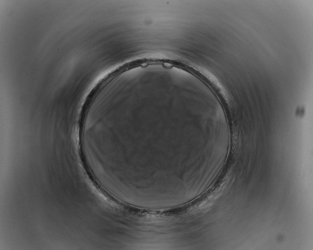 X0000100370935200807031859