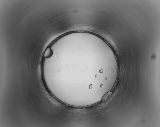 X0000100370936200807031859