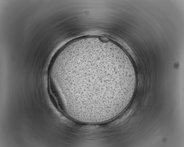 X0000100370939200807031859