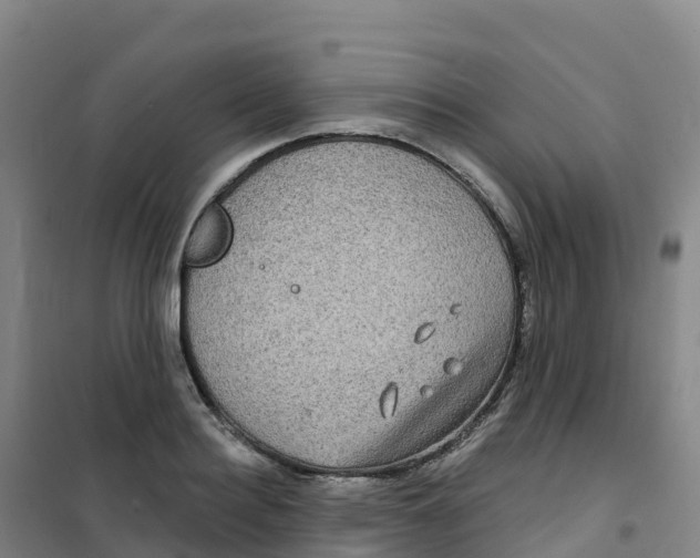 X0000100370940200807031859