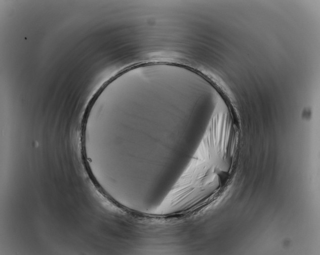 X0000100370941200807031859