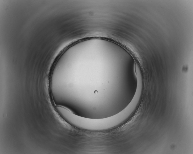 X0000100370942200807031859