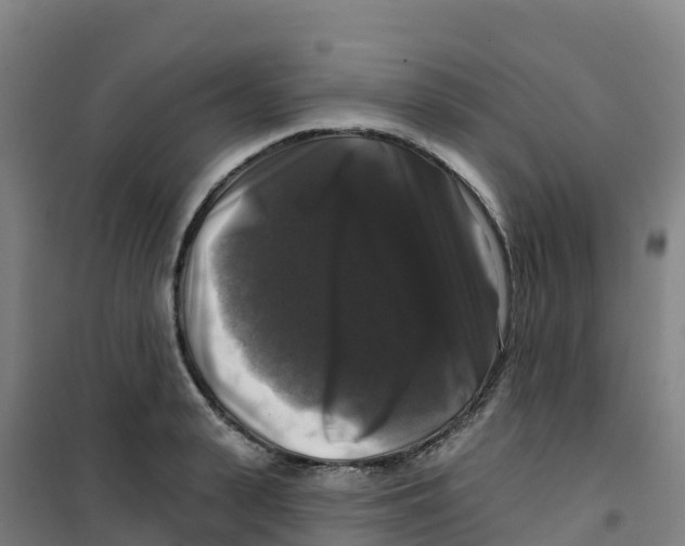 X0000100370943200807031859