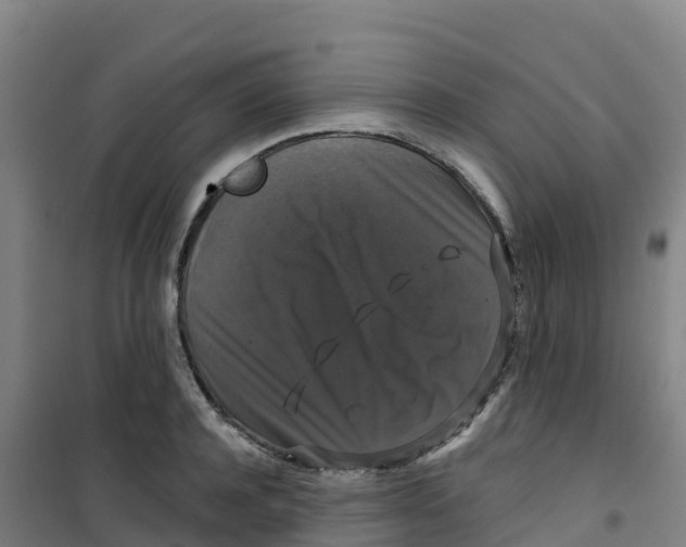 X0000100370944200807031859