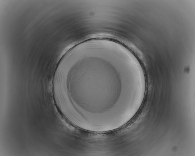 X0000100370945200807031859