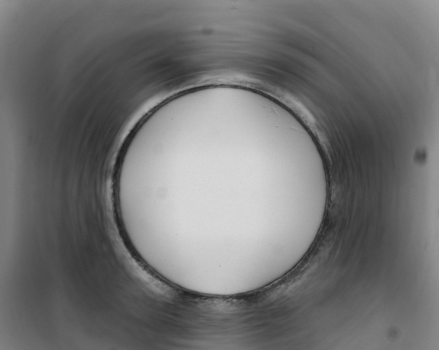 X0000100370947200807031859