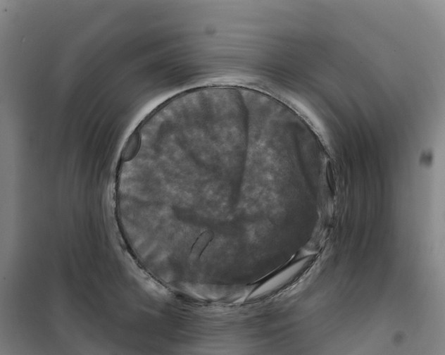 X0000100370948200807031859