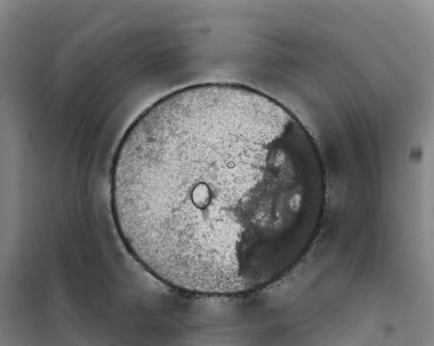 X0000100370950200807031859