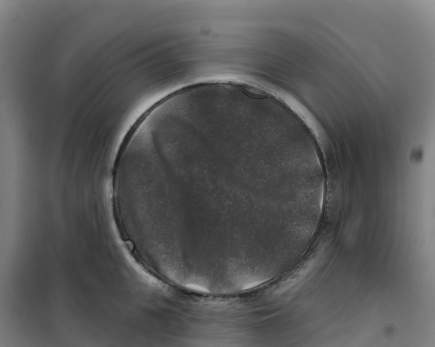 X0000100370951200807031859