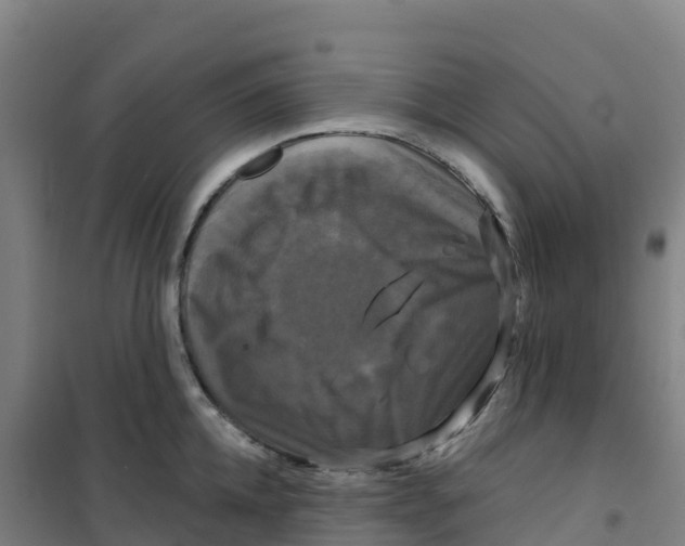 X0000100370952200807031859