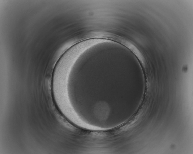 X0000100370954200807031859