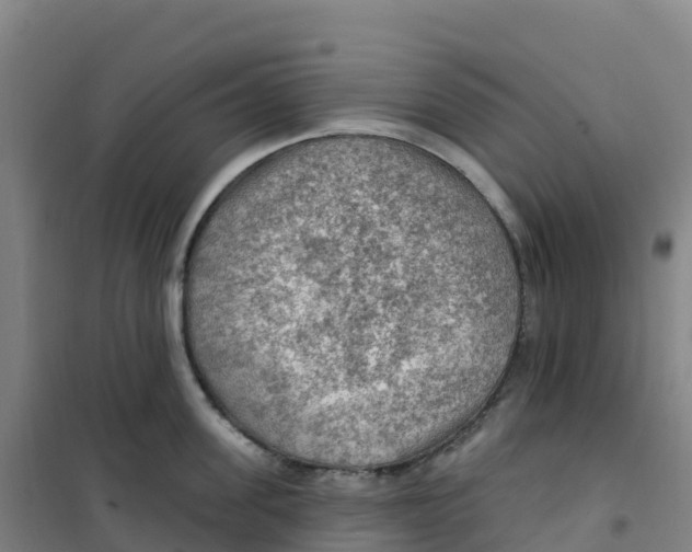 X0000100370955200807031859