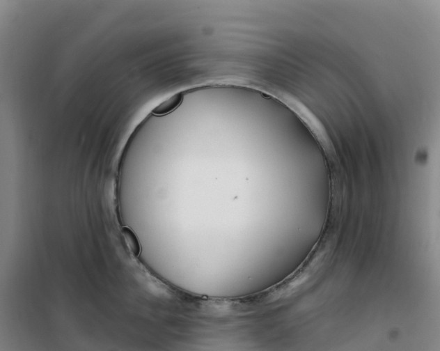 X0000100370956200807031859