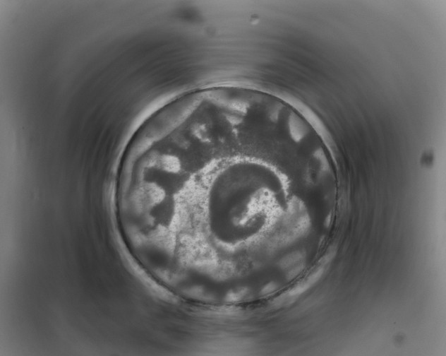 X0000100370957200807031859