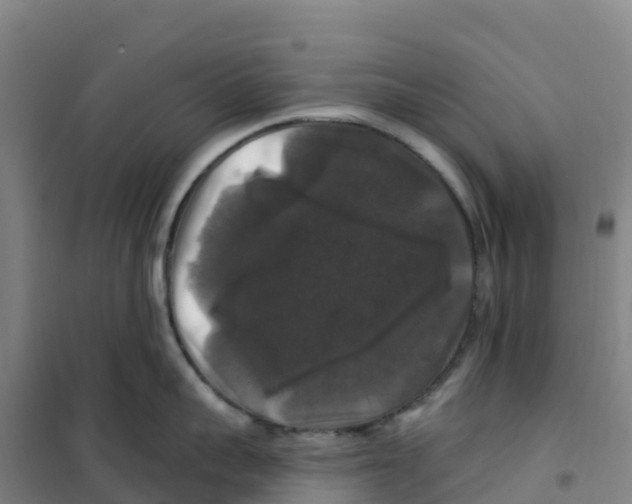 X0000100370959200807031859