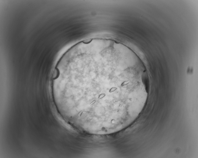 X0000100370960200807031859