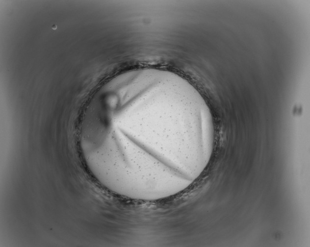 X0000100370961200807031859