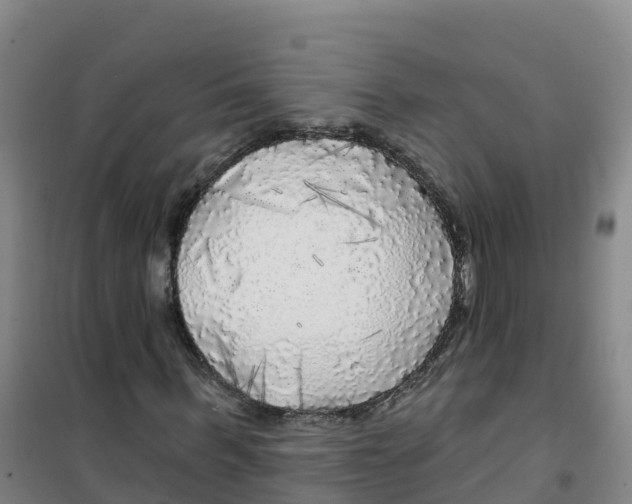 X0000100370963200807031858