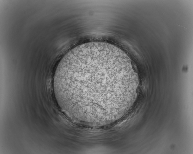 X0000100370964200807031858