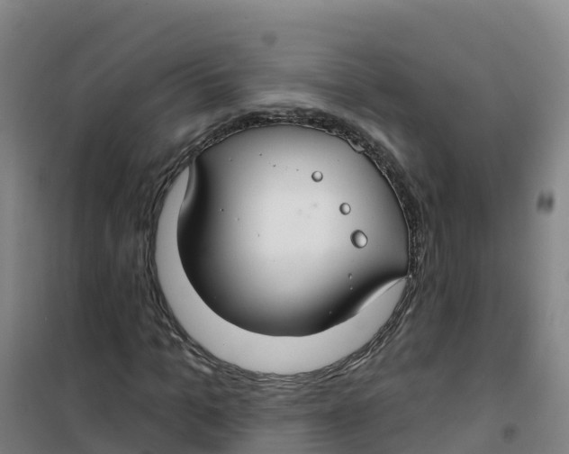 X0000100370965200807031858