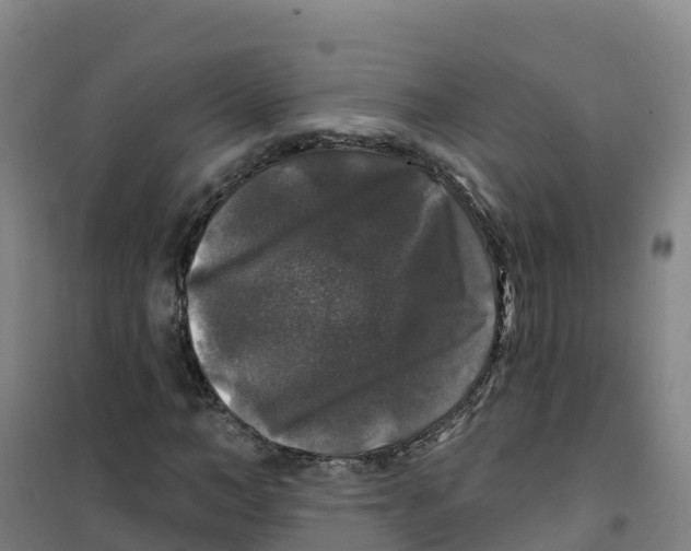 X0000100370966200807031858