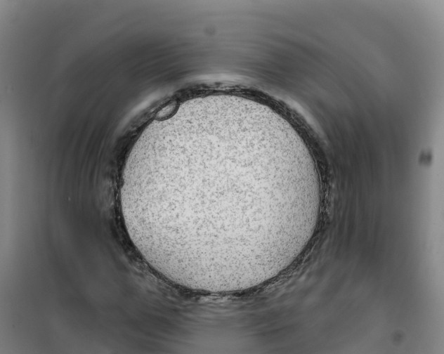 X0000100370967200807031858