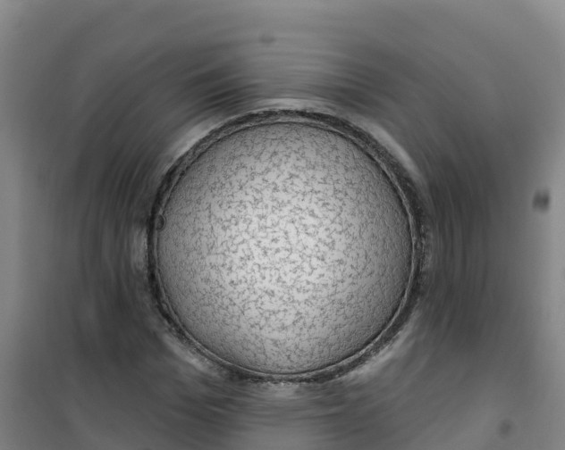 X0000100370969200807031858