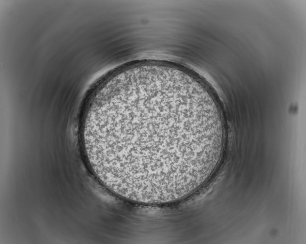 X0000100370971200807031858