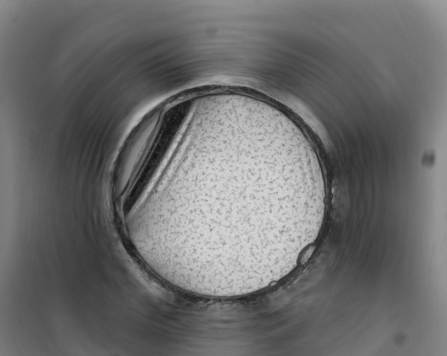 X0000100370972200807031858