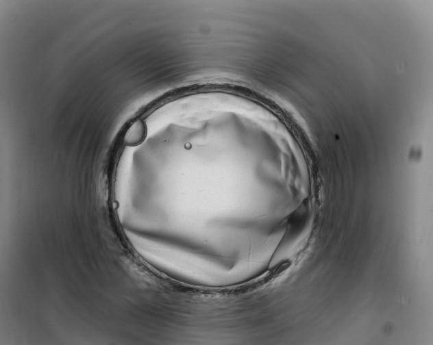 X0000100370973200807031858