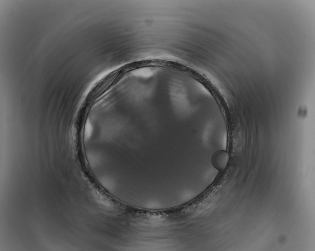 X0000100370975200807031858