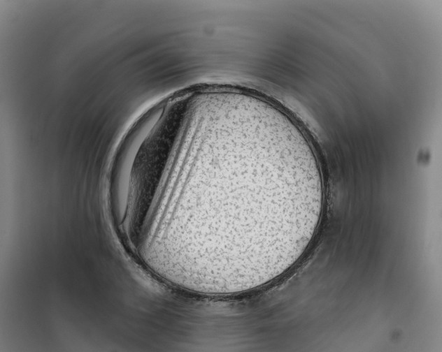 X0000100370976200807031858