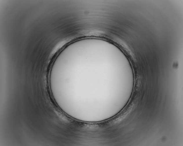 X0000100370978200807031858