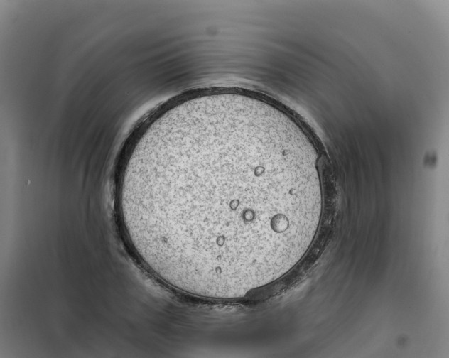 X0000100370979200807031858