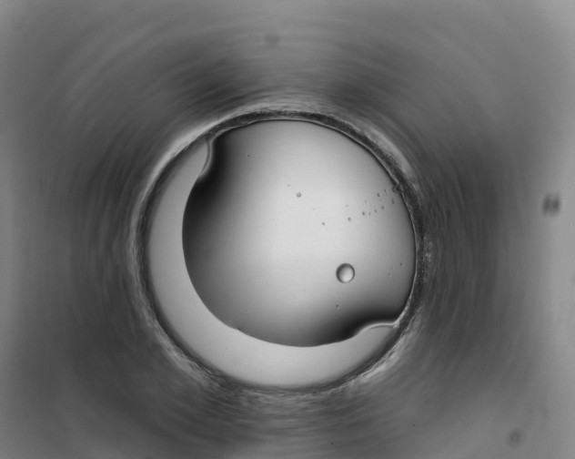 X0000100370981200807031858