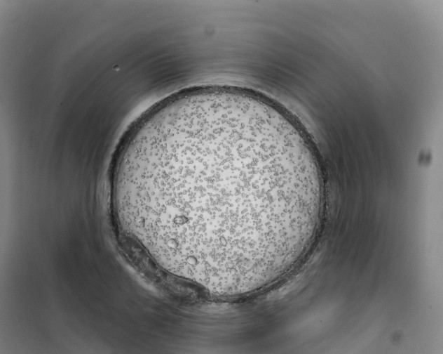 X0000100370982200807031858