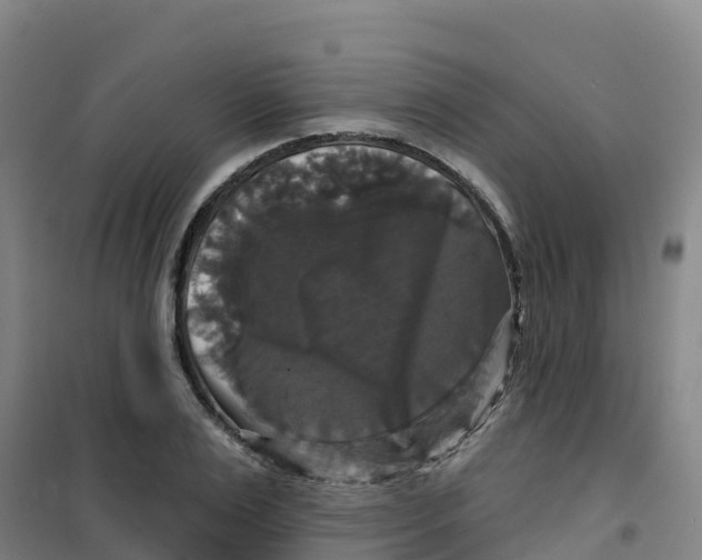 X0000100370983200807031858