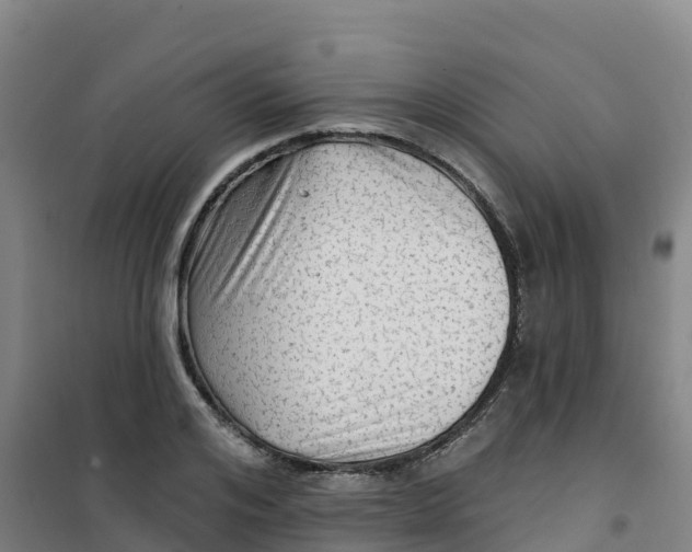 X0000100370984200807031858