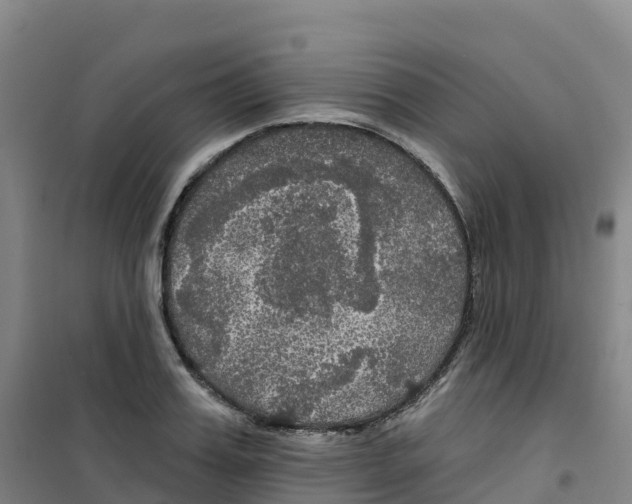 X0000100370987200807031858