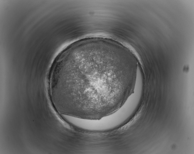 X0000100370989200807031858