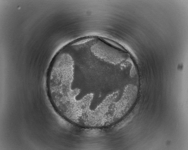 X0000100370991200807031858